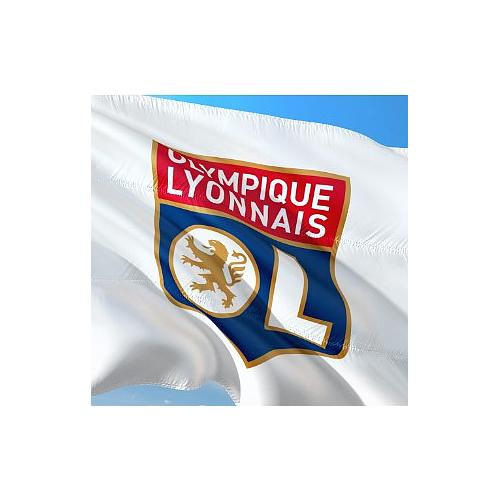 Photo de 2 places pour un match OL + visite du stade + OL Musée