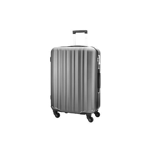 Photo de Valise aspect Métallise - LA BAGAGERIE - Gris