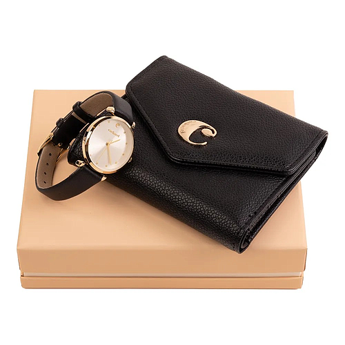 Photo de Coffret montre noir - CACHAREL