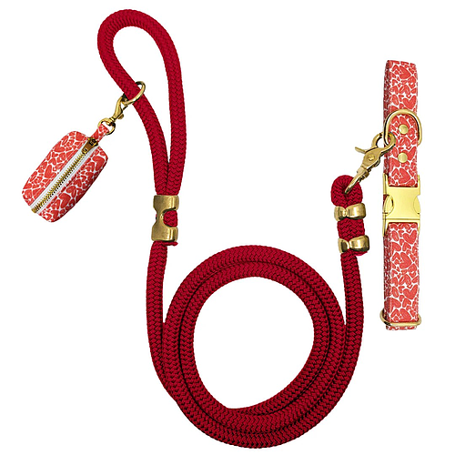 Photo de Kit pour chien - design cœurs rouges
