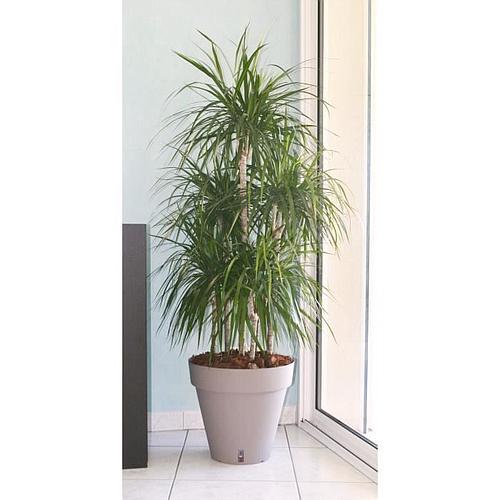 Photo de Pot de fleurs taupe - Diamètre 50 cm - RIVIERA