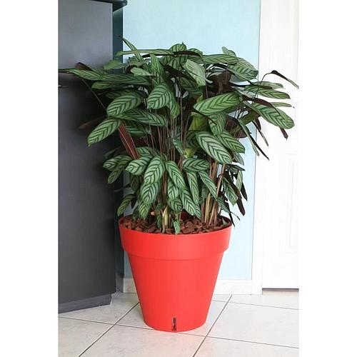 Photo de Pot de fleurs Rond - Rouge - Diamètre : 50 cm -  RIVIERA