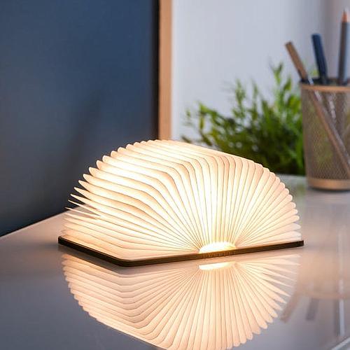 Photo de LAMPE LIVRE EN BOIS LUMINEUX